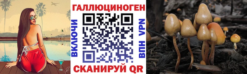Галлюциногенные грибы Magic Shrooms  наркошоп  Саратов 